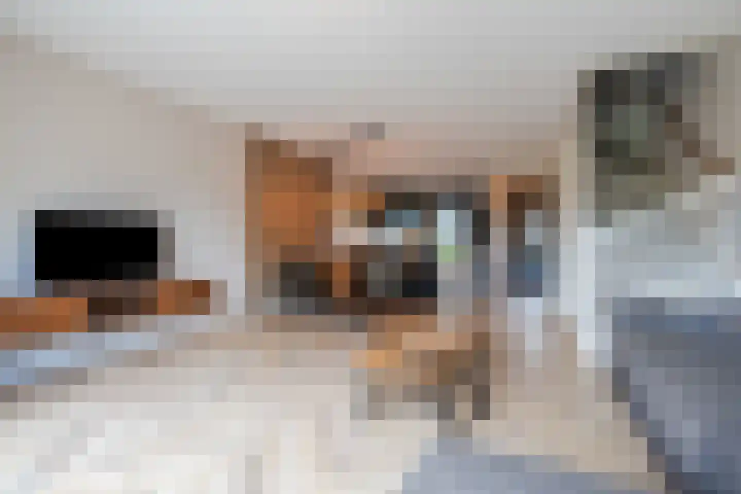 Sandershoeve 24 Veghel thumbnail 10