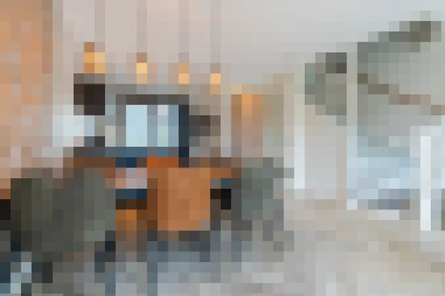 Sandershoeve 24 Veghel thumbnail 15