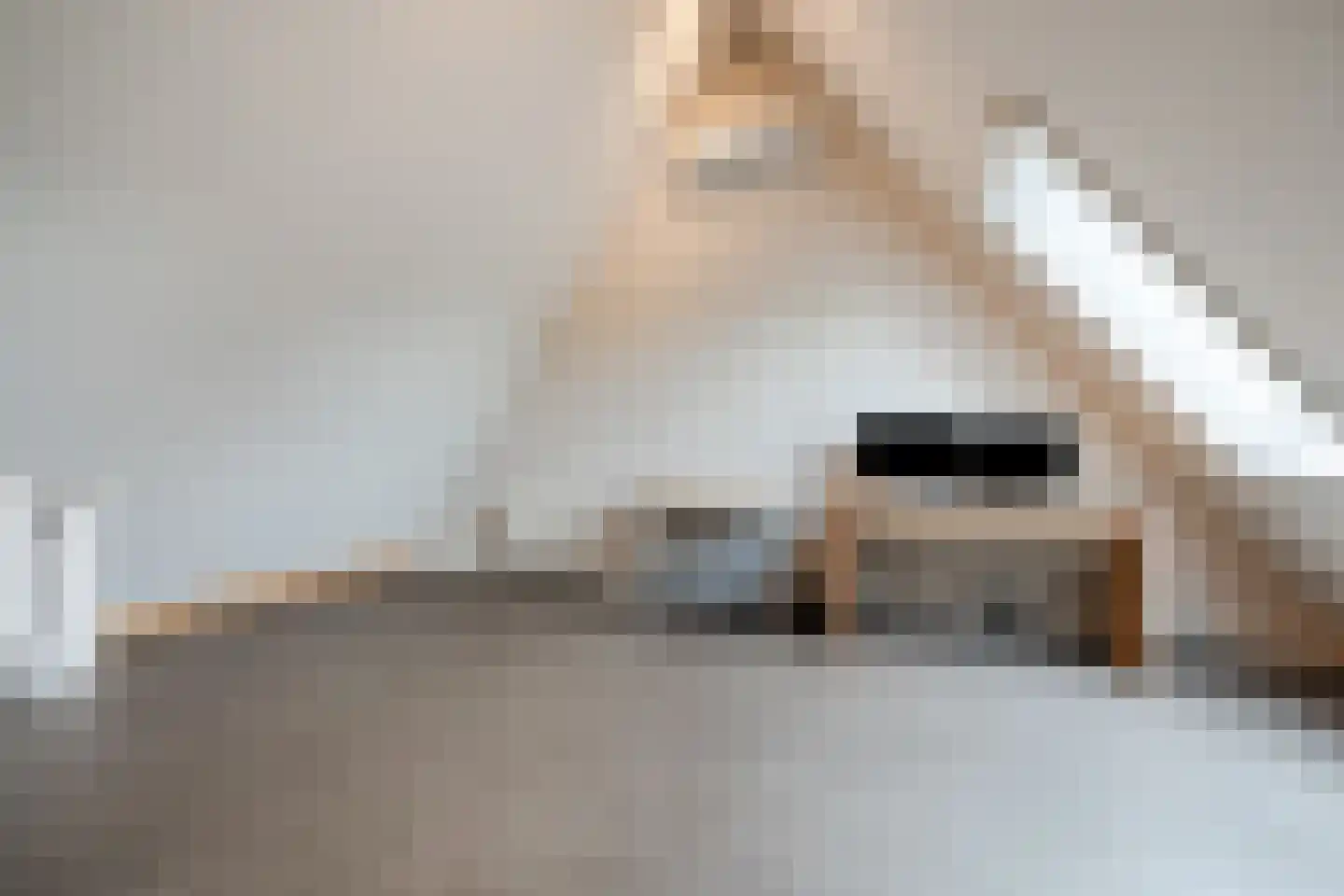 Sandershoeve 24 Veghel thumbnail 28