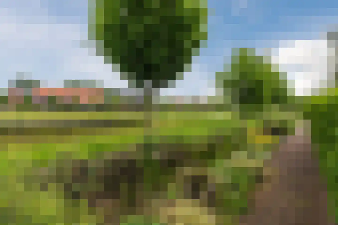 Sandershoeve 24 Veghel thumbnail 35