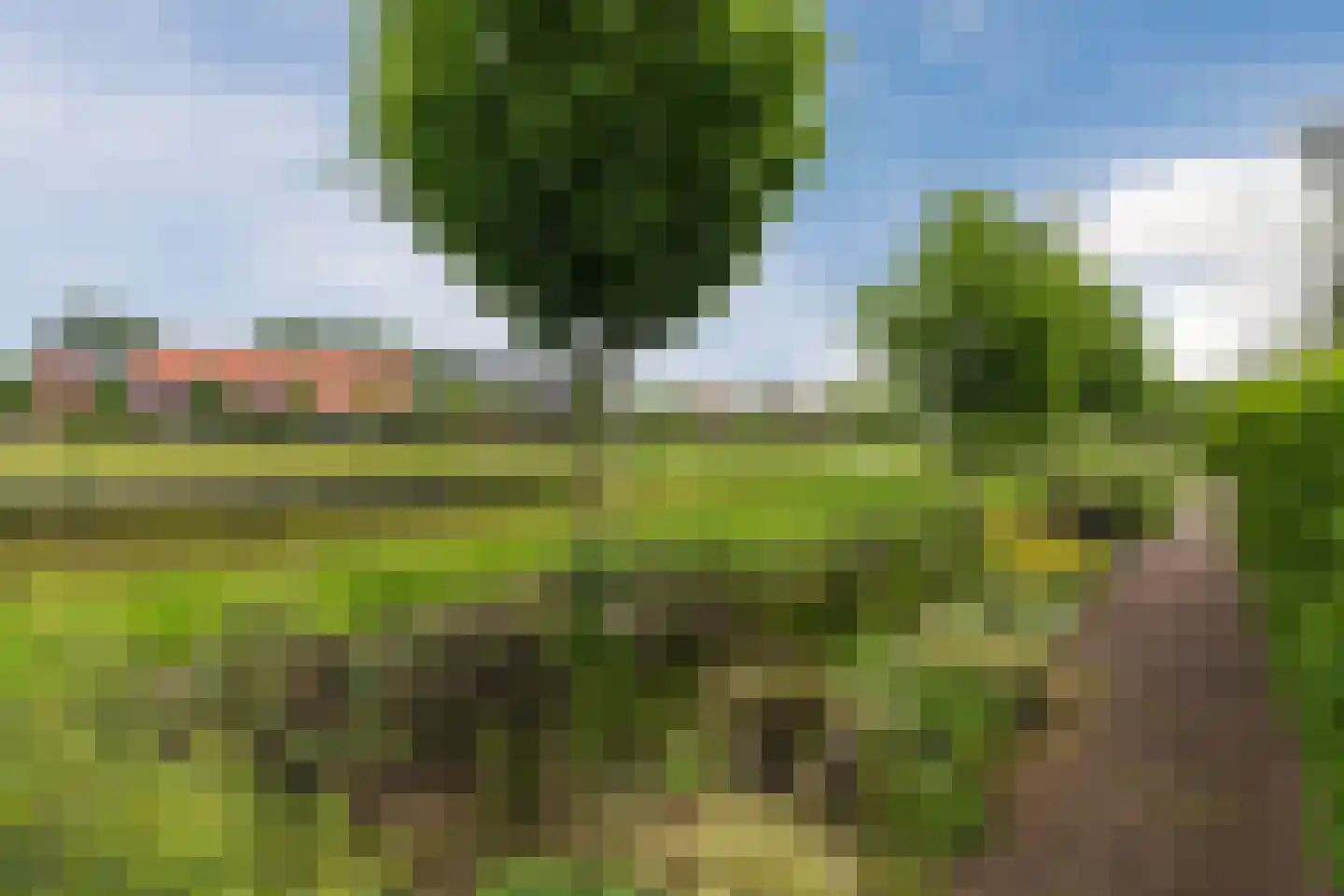 Sandershoeve 24 Veghel thumbnail 36