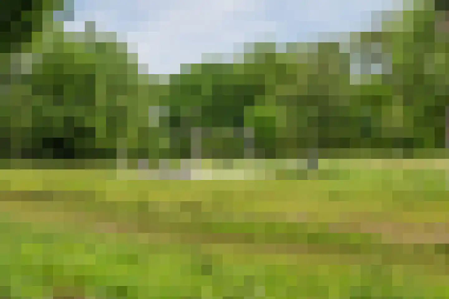 Sandershoeve 24 Veghel thumbnail 37