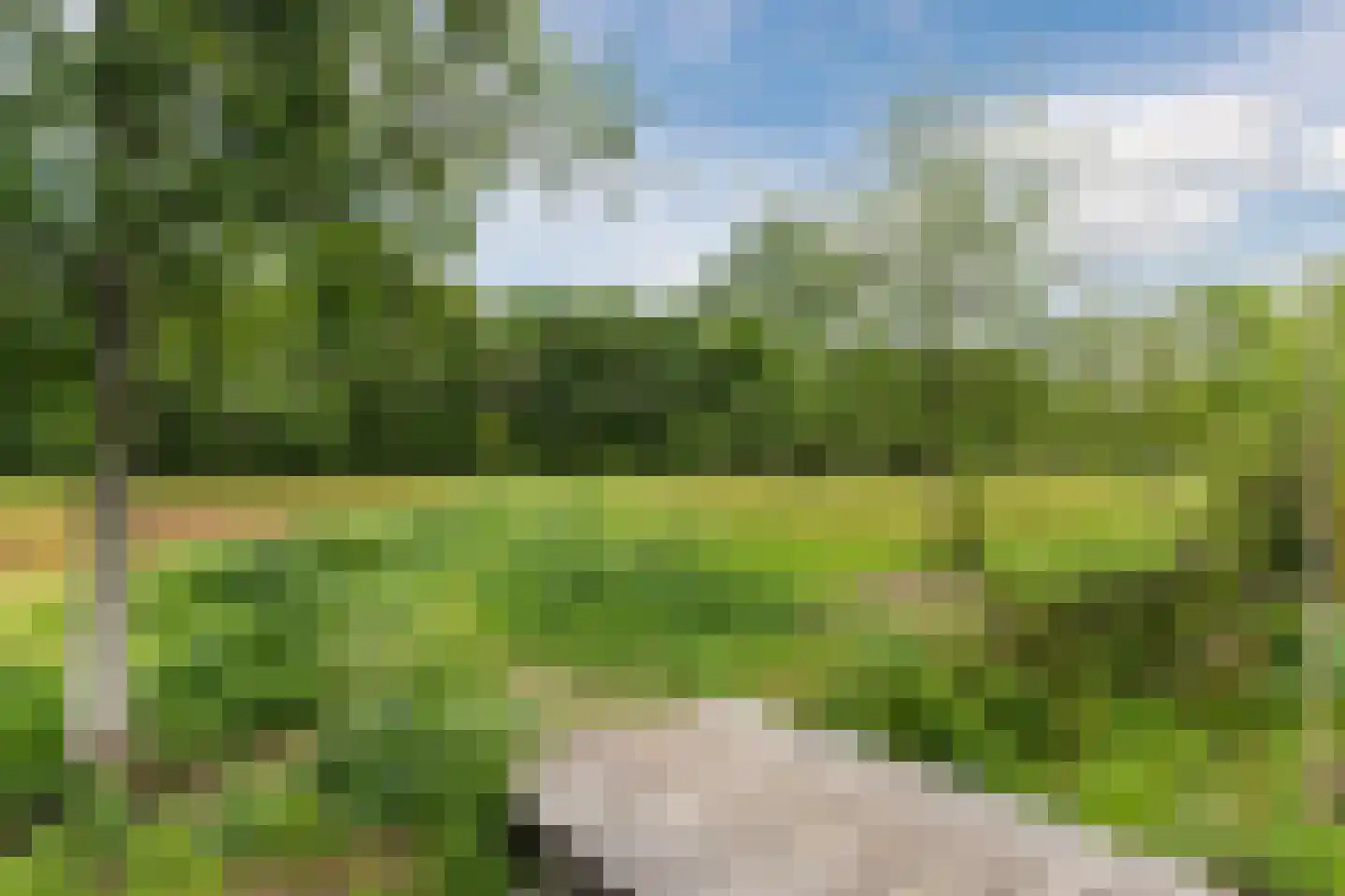 Sandershoeve 24 Veghel thumbnail 39