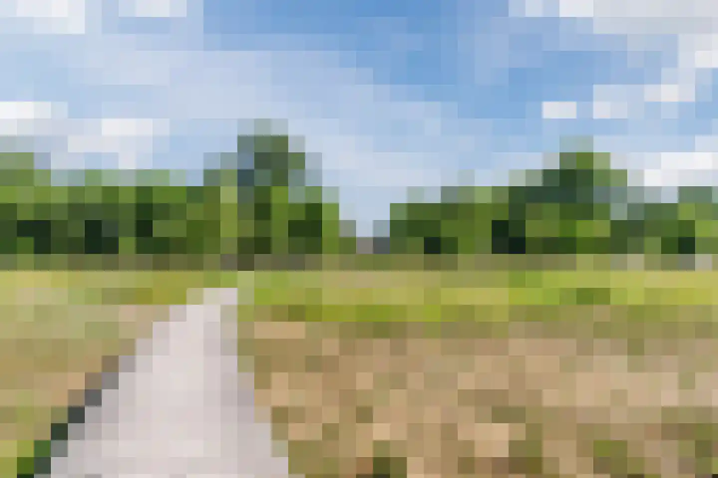 Sandershoeve 24 Veghel thumbnail 43