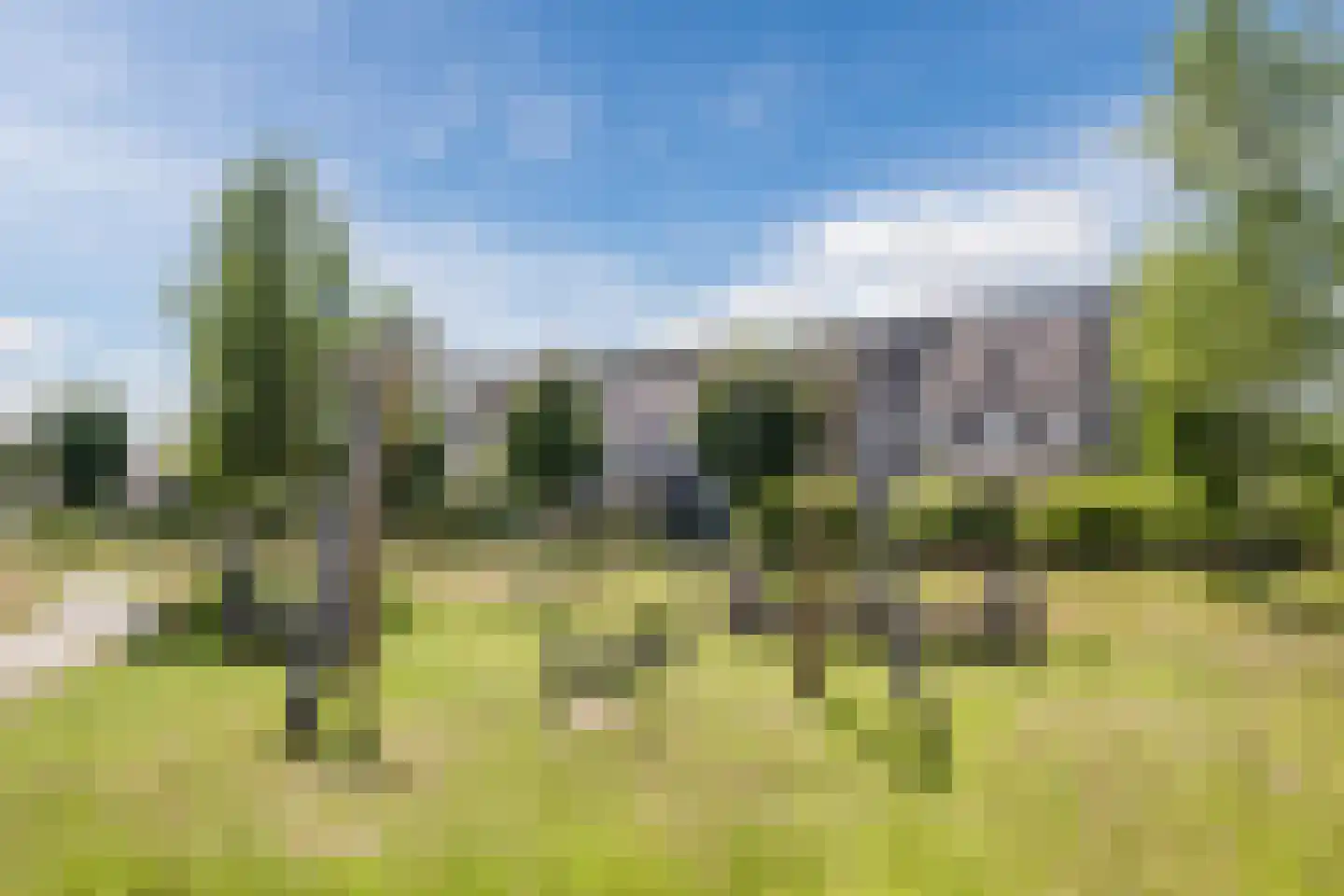 Sandershoeve 24 Veghel thumbnail 45