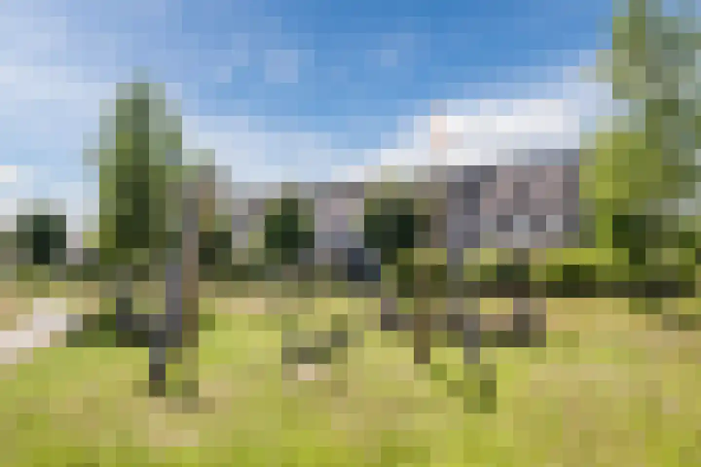 Sandershoeve 24 Veghel thumbnail 46