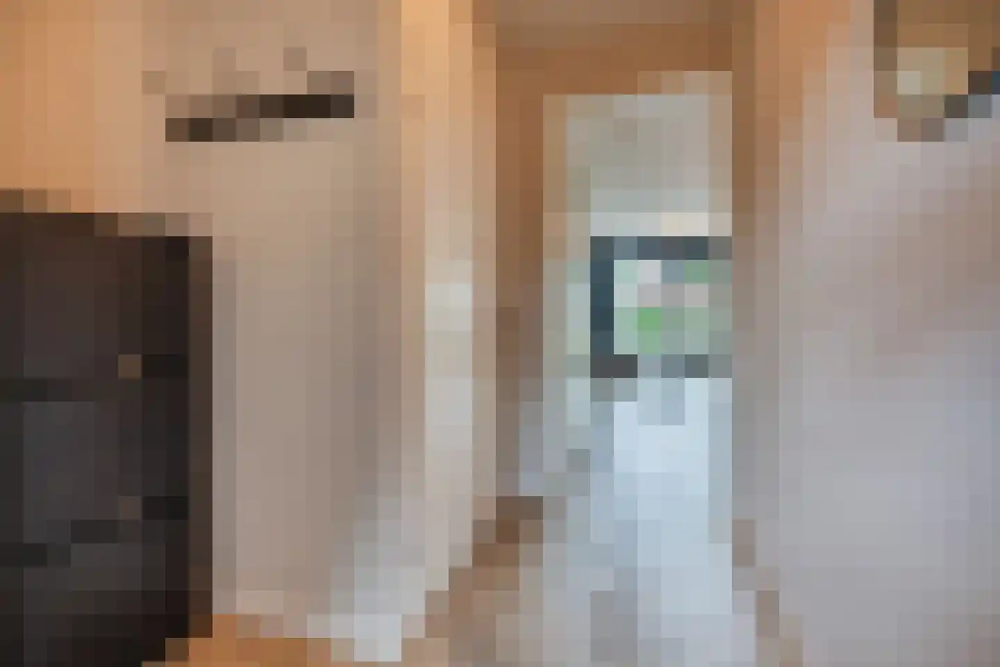 Sandershoeve 24 Veghel thumbnail 8