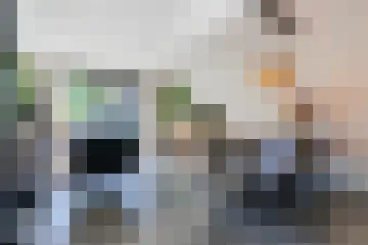 Sandershoeve 25 Veghel thumbnail 10