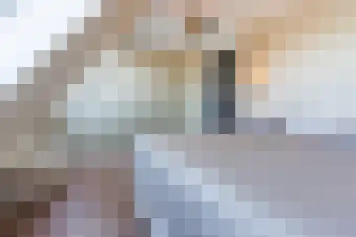 Sandershoeve 25 Veghel thumbnail 20
