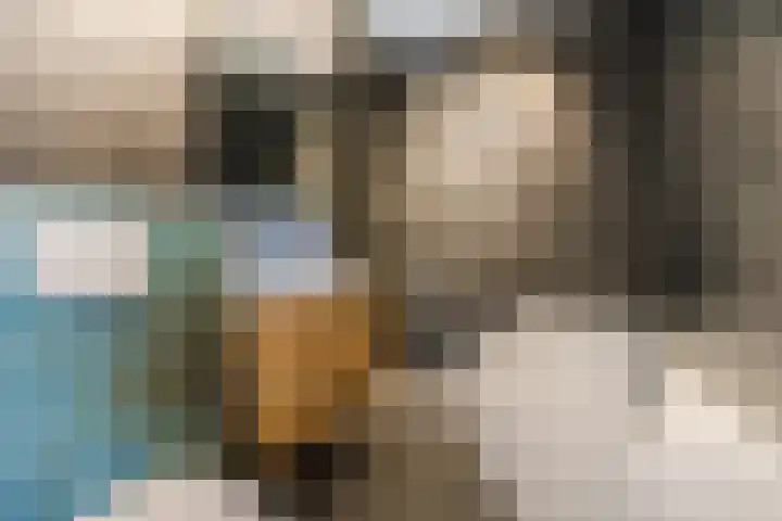 Sandershoeve 25 Veghel thumbnail 25