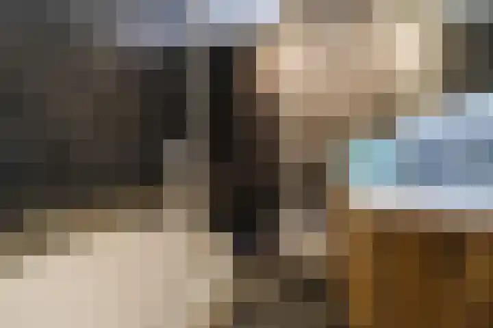 Sandershoeve 25 Veghel thumbnail 26