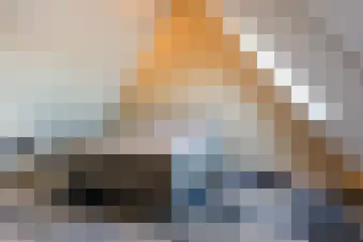 Sandershoeve 25 Veghel thumbnail 29