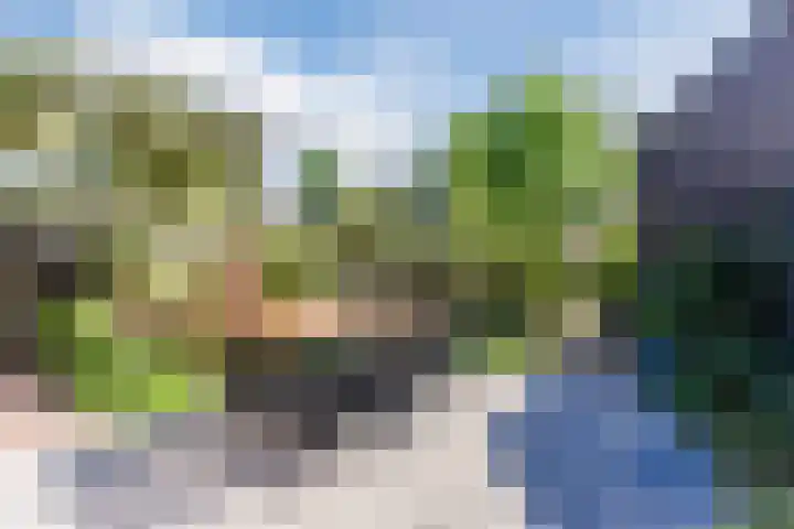 Sandershoeve 25 Veghel thumbnail 33