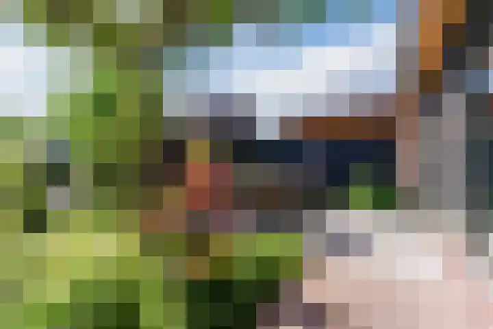 Sandershoeve 25 Veghel thumbnail 34