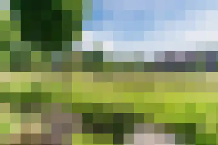 Sandershoeve 25 Veghel thumbnail 36
