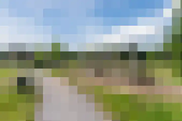 Sandershoeve 25 Veghel thumbnail 37