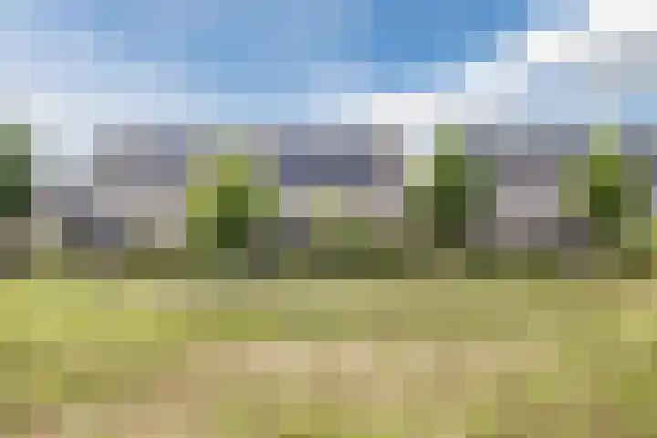 Sandershoeve 25 Veghel thumbnail 38