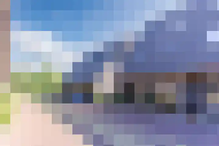 Sandershoeve 25 Veghel thumbnail 5