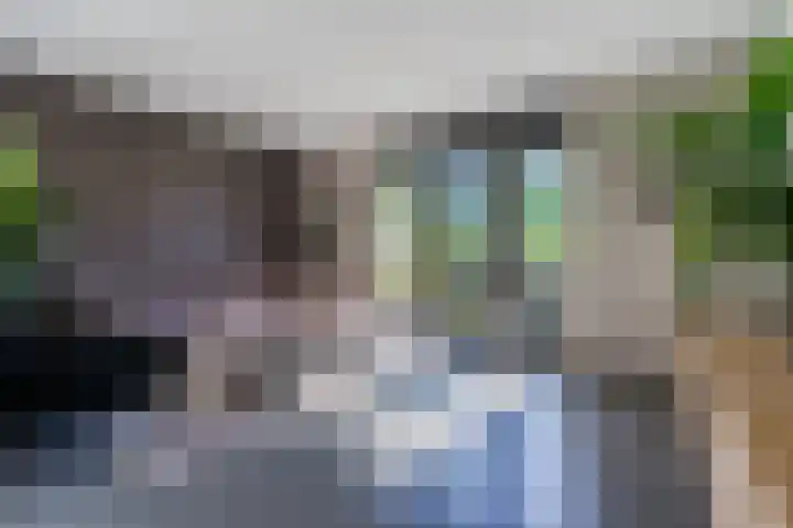 Sandershoeve 25 Veghel thumbnail 7