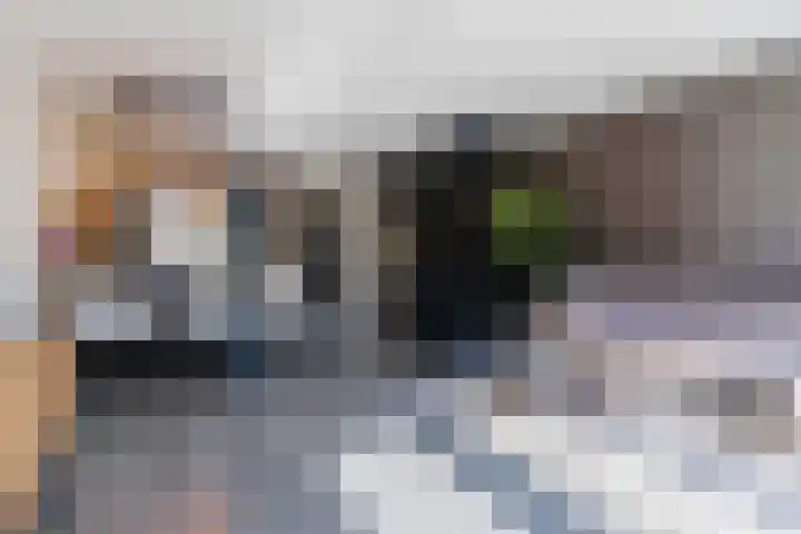 Sandershoeve 25 Veghel thumbnail 8