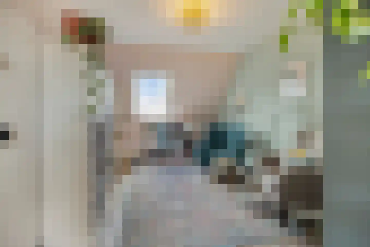 Sandershoeve 9 Veghel thumbnail 19