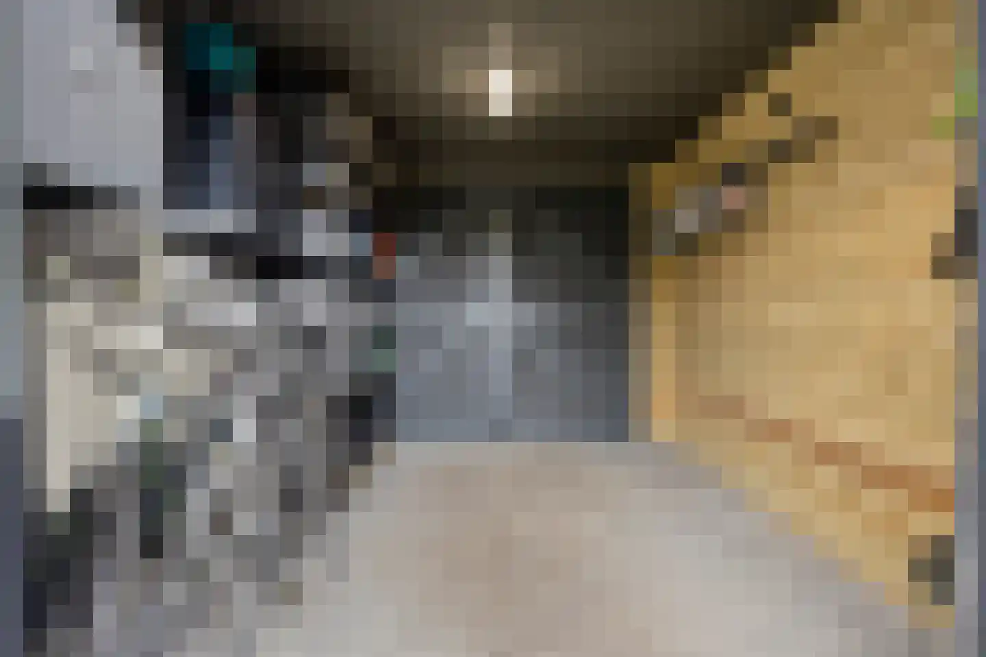 Sandershoeve 9 Veghel thumbnail 31