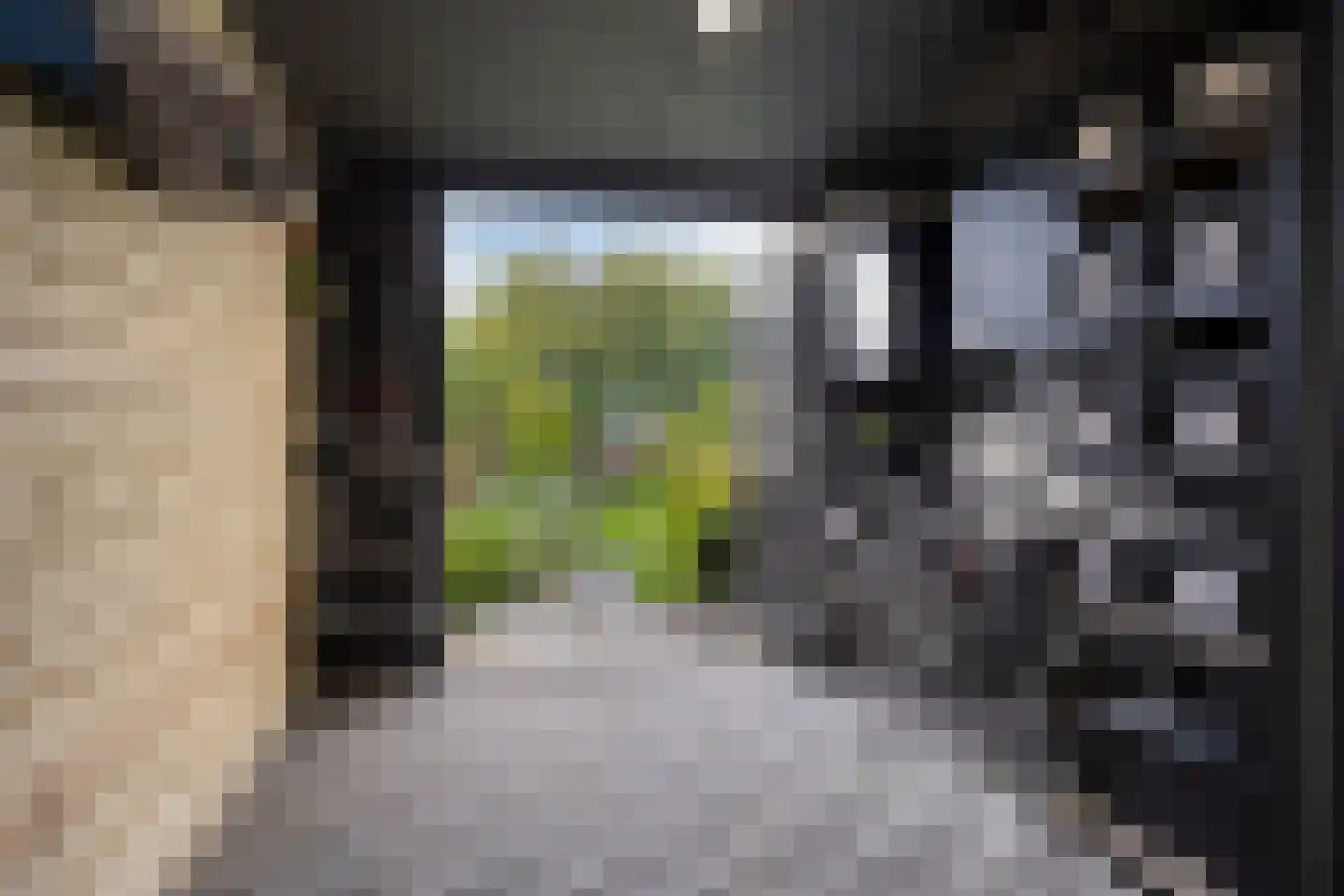 Sandershoeve 9 Veghel thumbnail 32