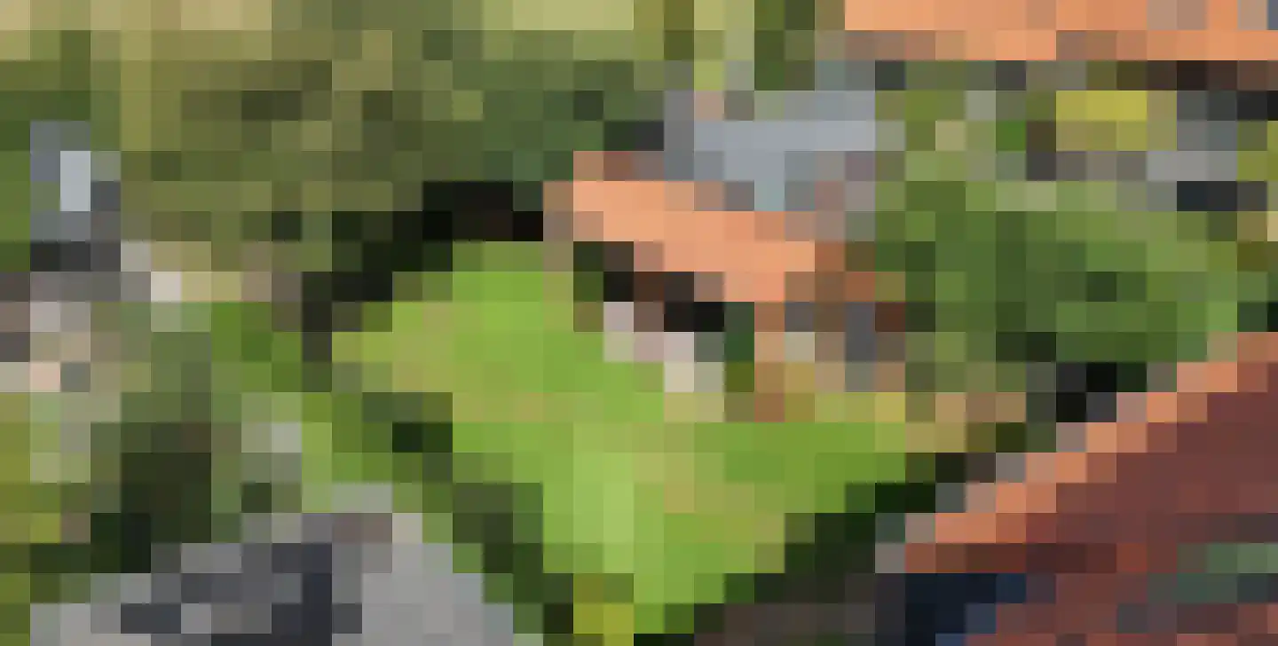Sandershoeve 9 Veghel thumbnail 36