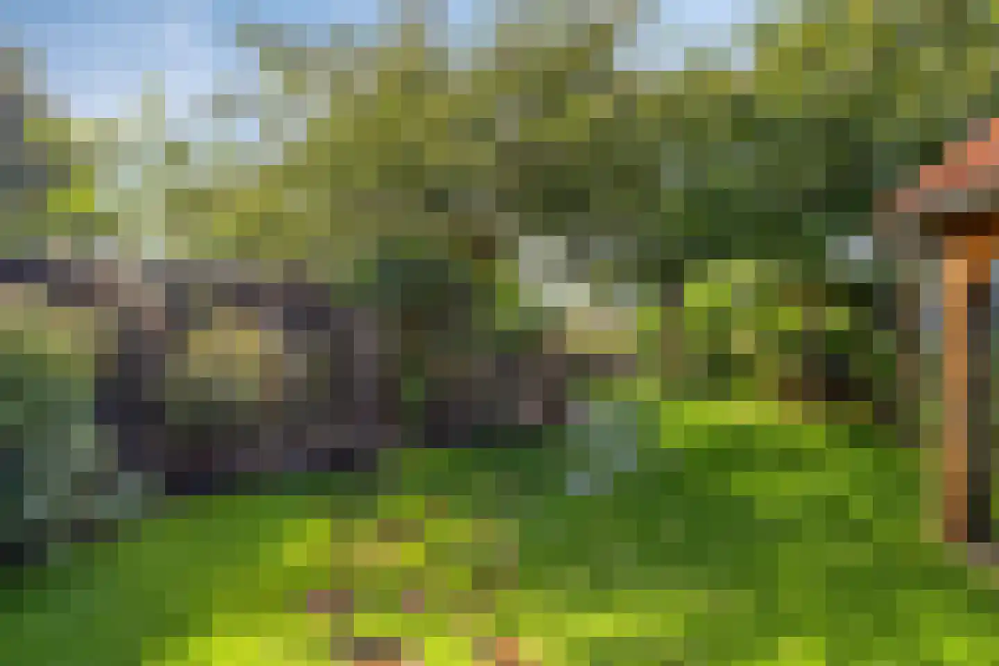 Sandershoeve 9 Veghel thumbnail 38