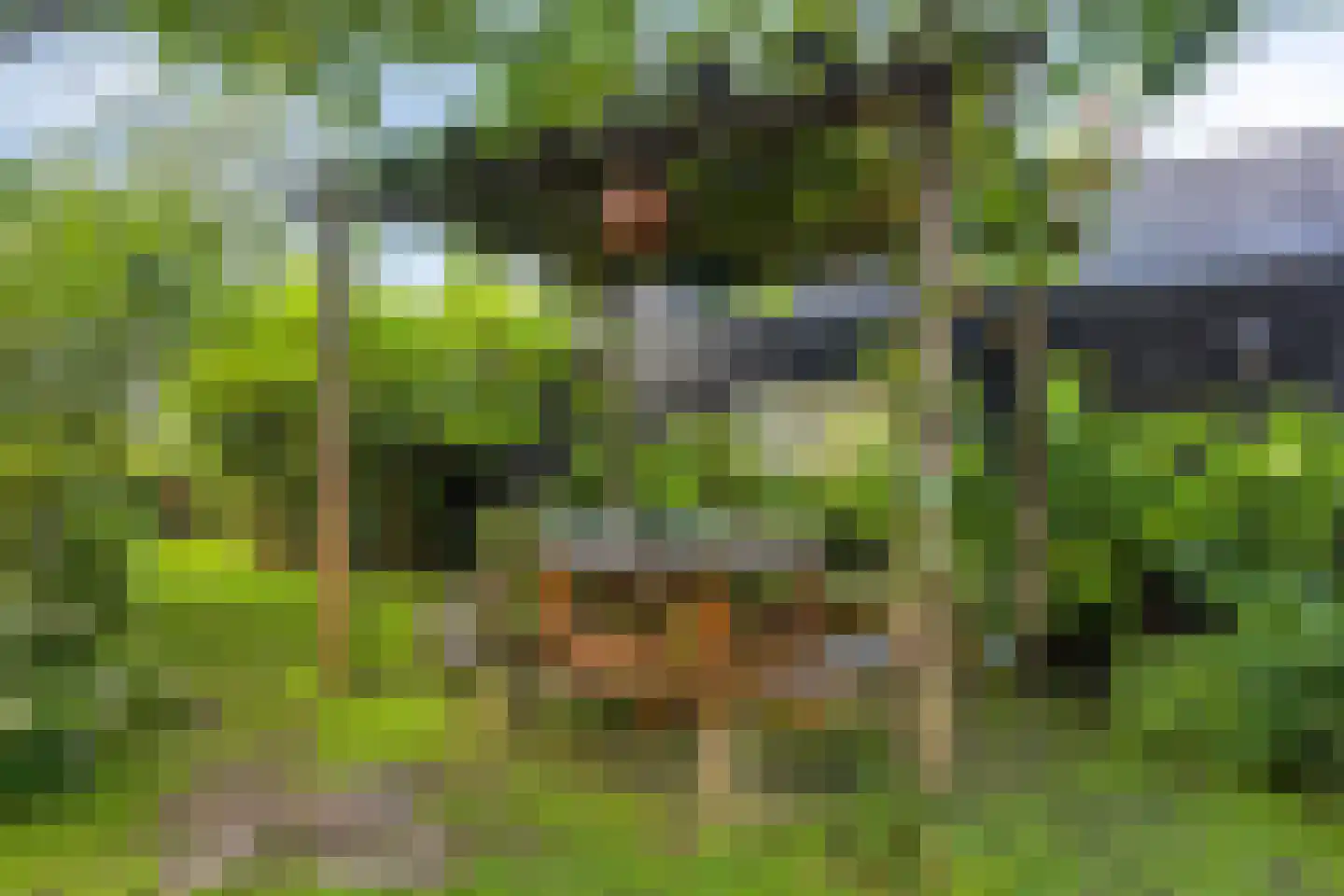 Sandershoeve 9 Veghel thumbnail 39