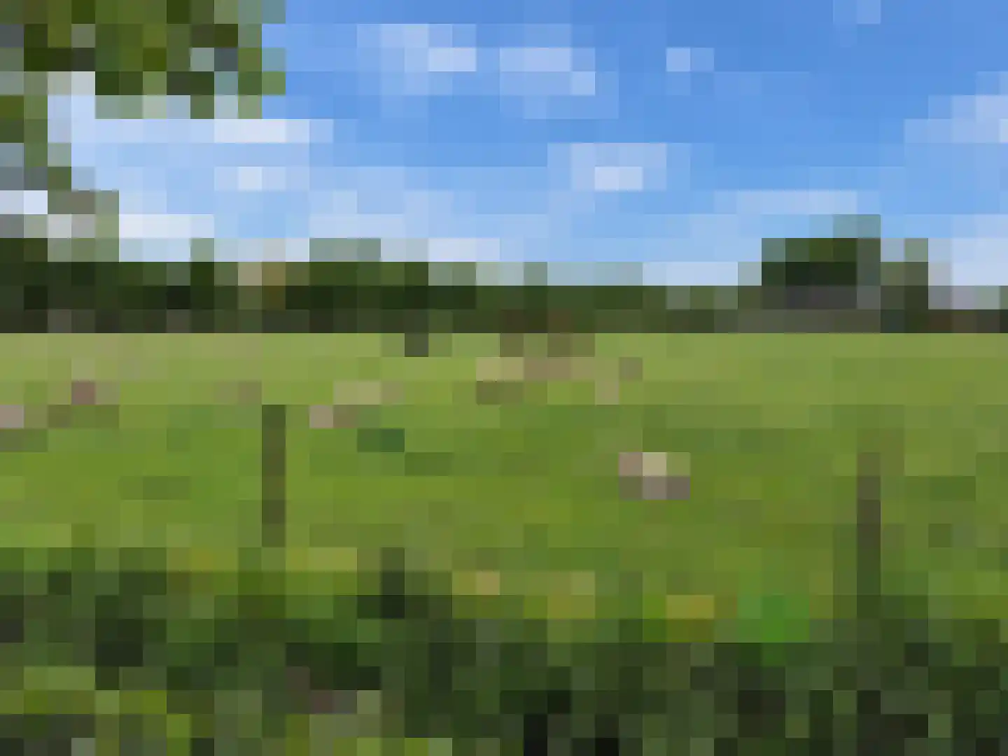 Sandershoeve 9 Veghel thumbnail 42