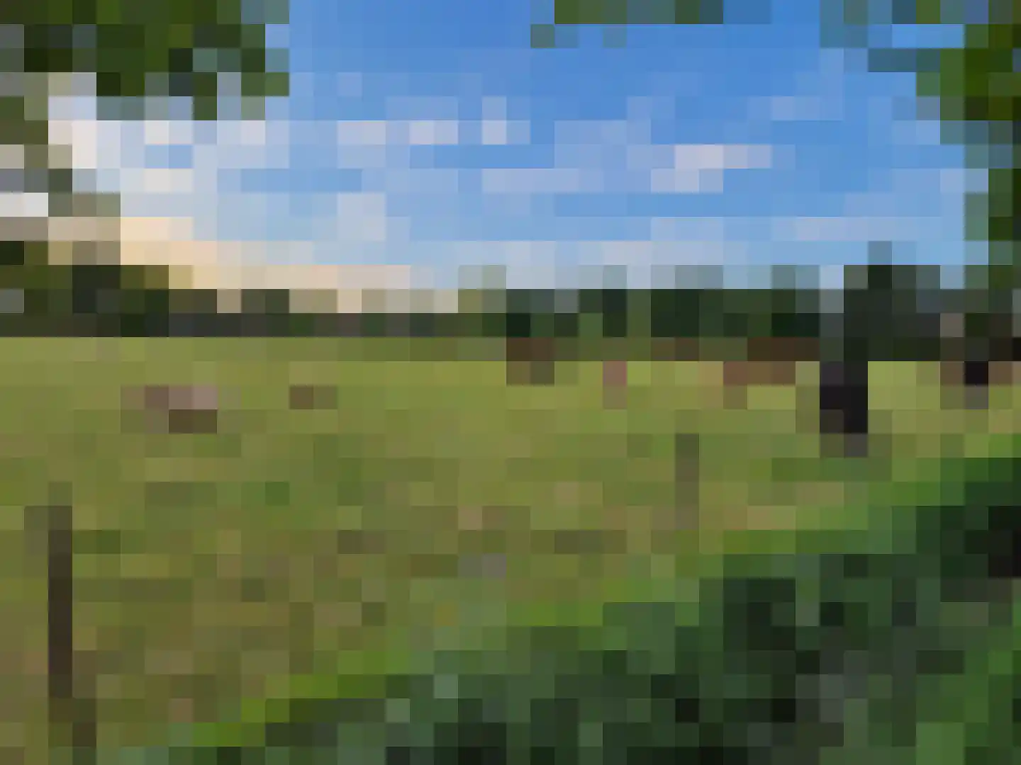 Sandershoeve 9 Veghel thumbnail 43