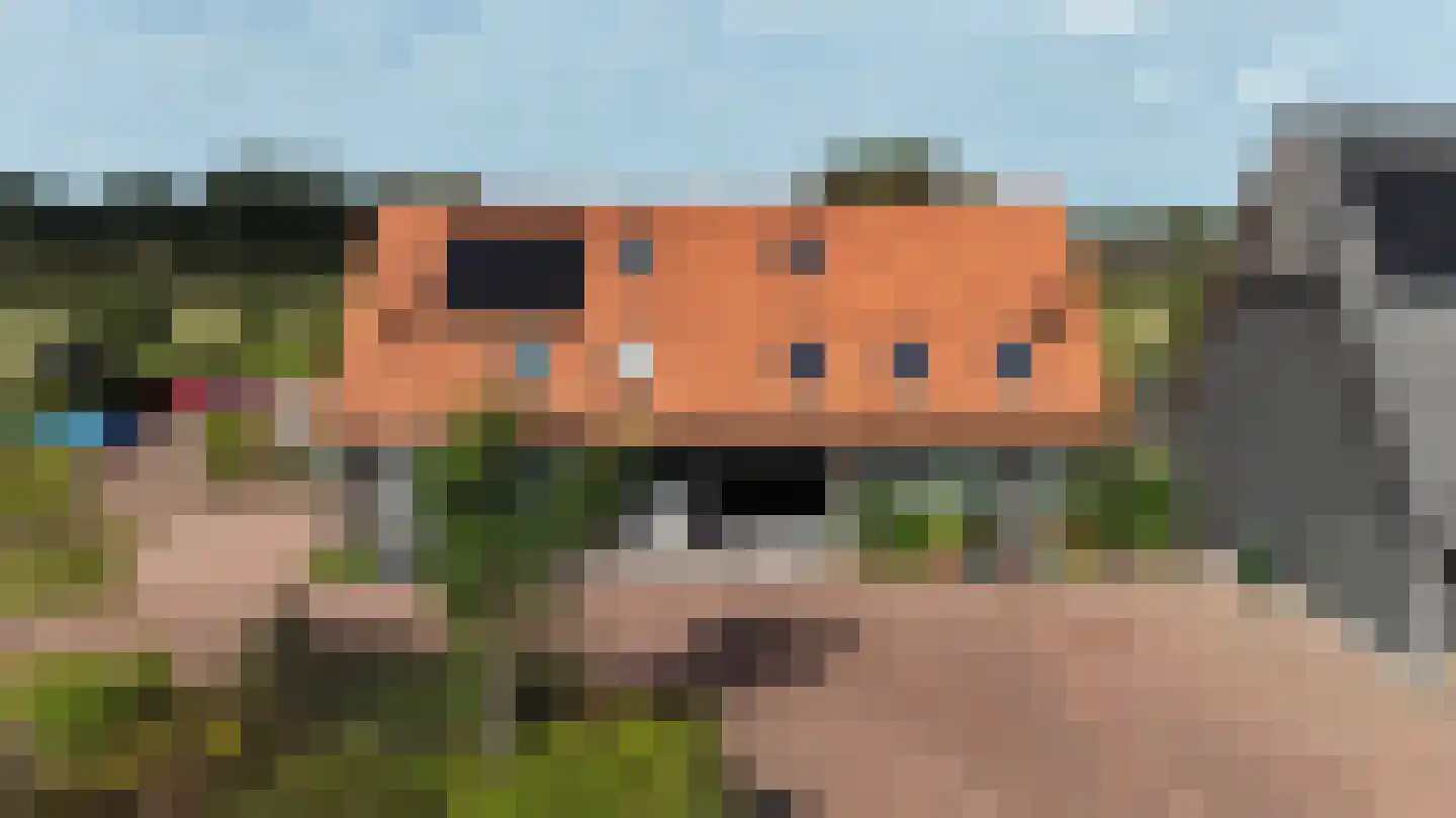 Sandershoeve 9 Veghel thumbnail 44