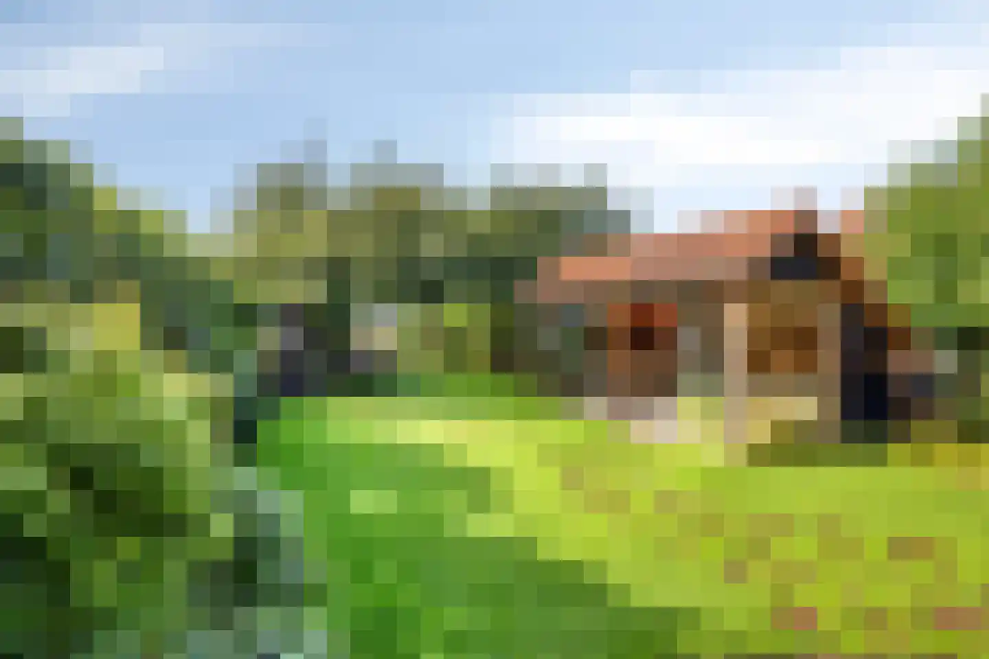 Sandershoeve 9 Veghel thumbnail 5