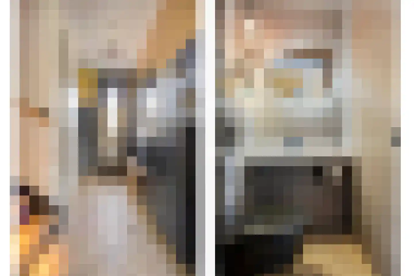 Sandershoeve 9 Veghel thumbnail 7