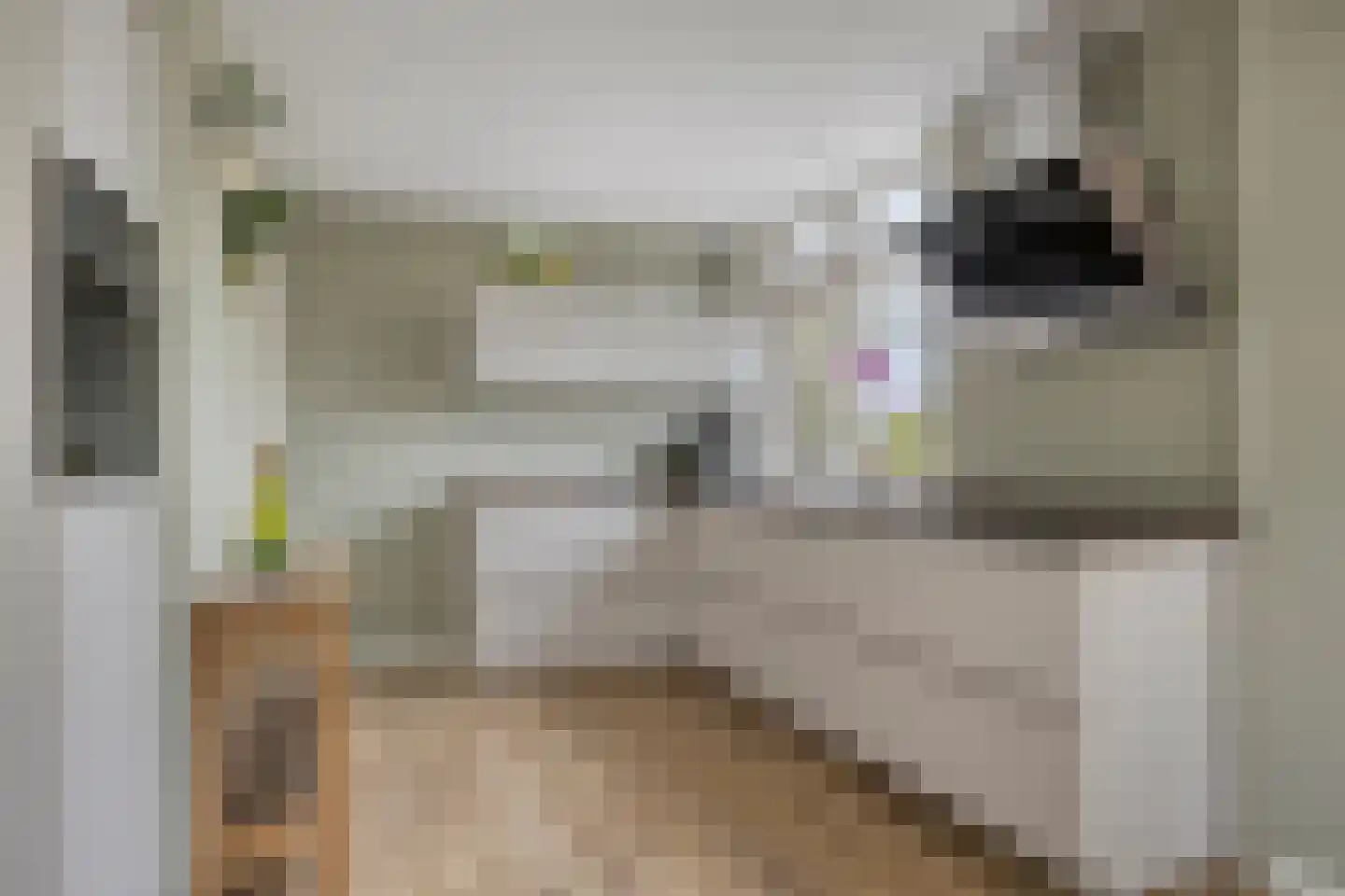 Sandershof 6 Bemmel thumbnail 17