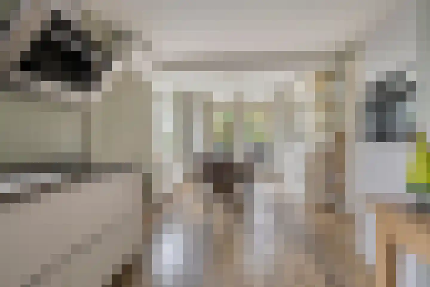 Sandershof 6 Bemmel thumbnail 20