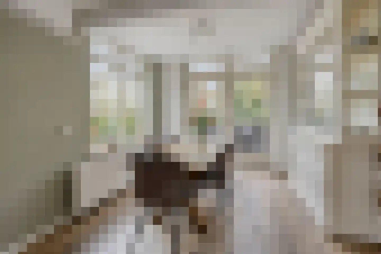 Sandershof 6 Bemmel thumbnail 21
