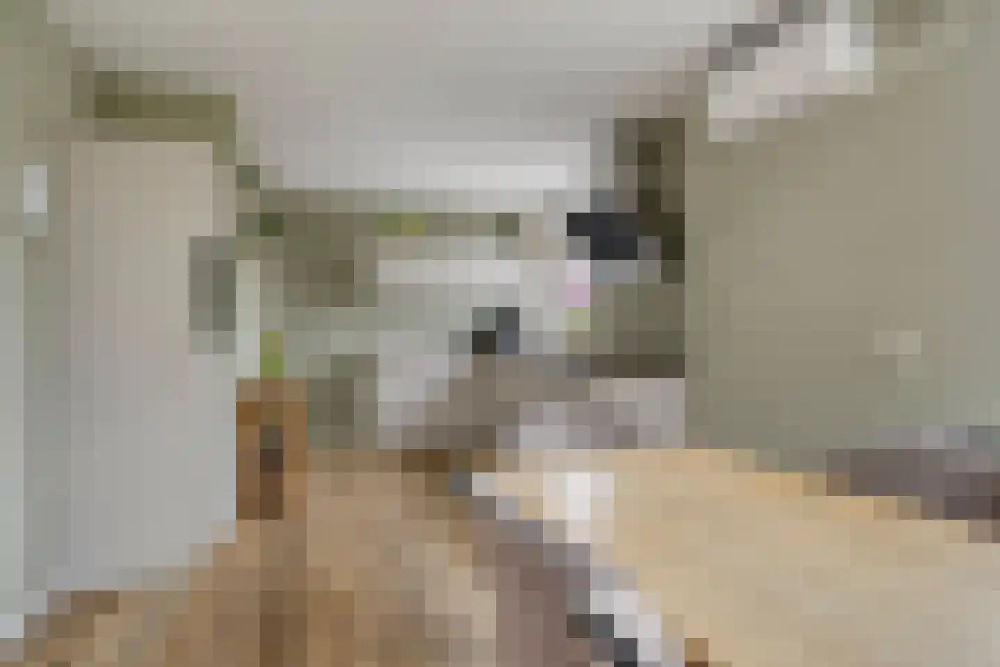 Sandershof 6 Bemmel thumbnail 23