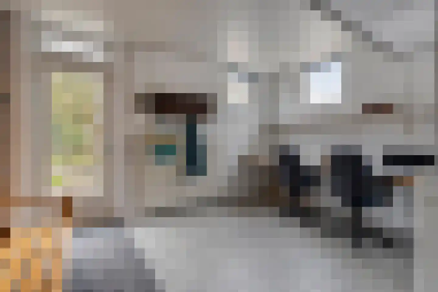 Sandershof 6 Bemmel thumbnail 24