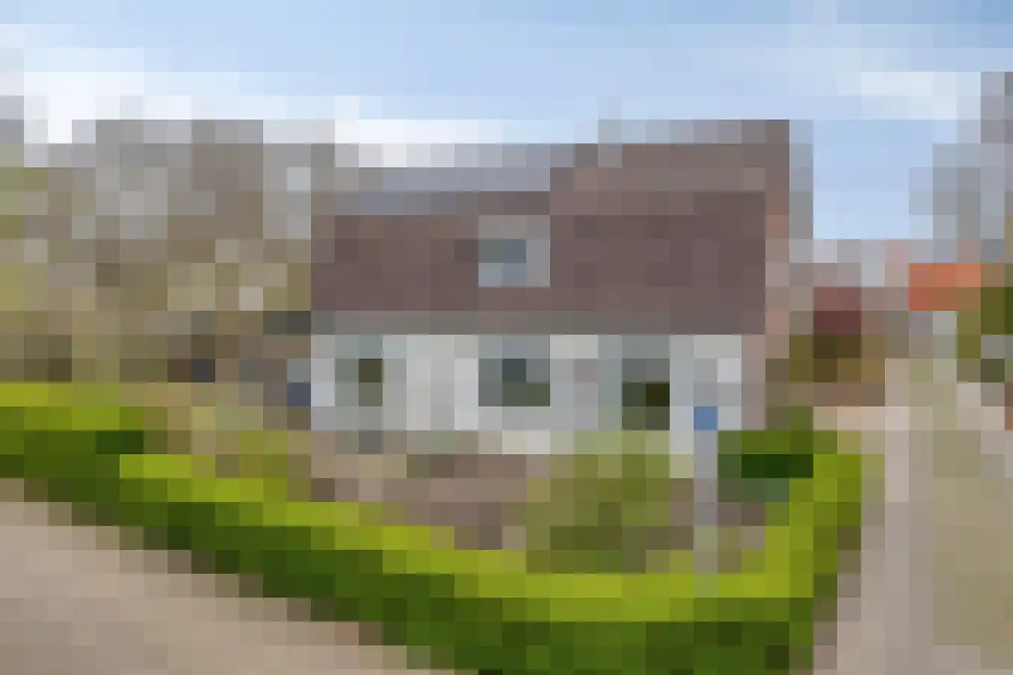 Sandershof 6 Bemmel foto 3