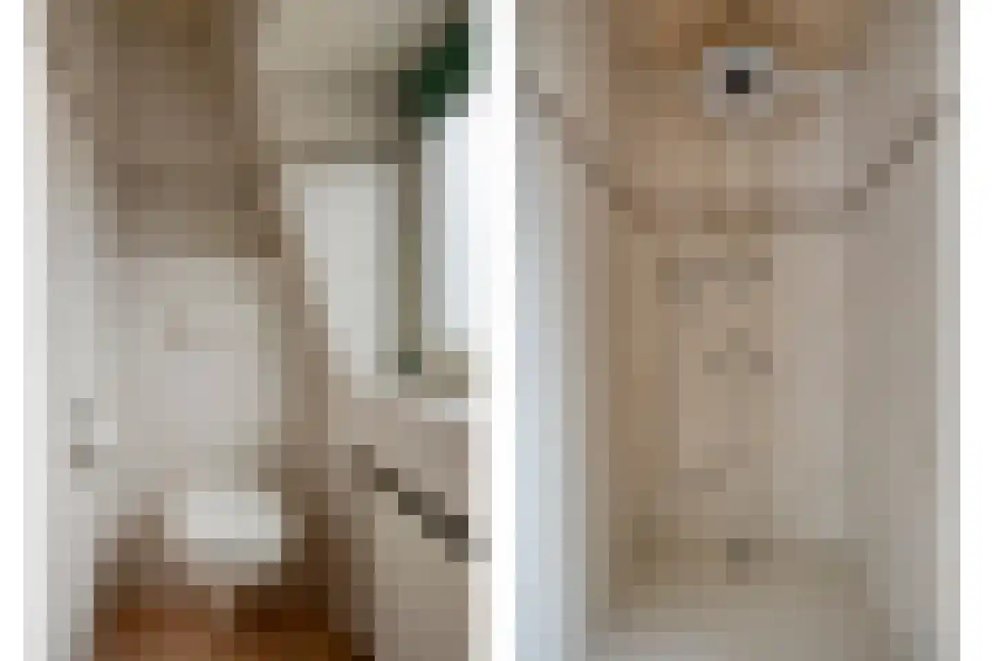 Sandershof 6 Bemmel thumbnail 35
