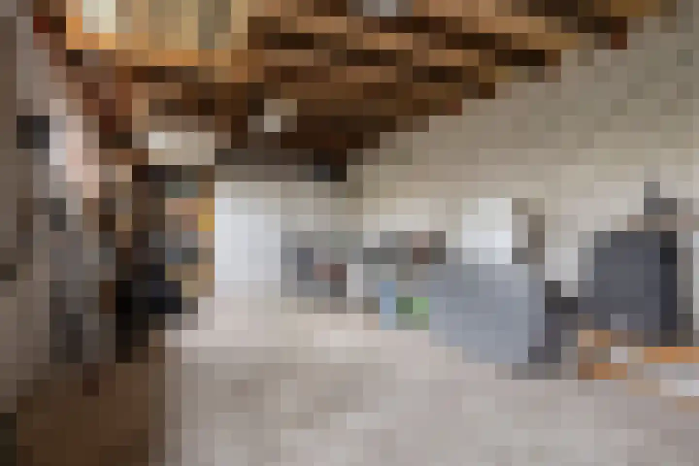 Sandershof 6 Bemmel thumbnail 41