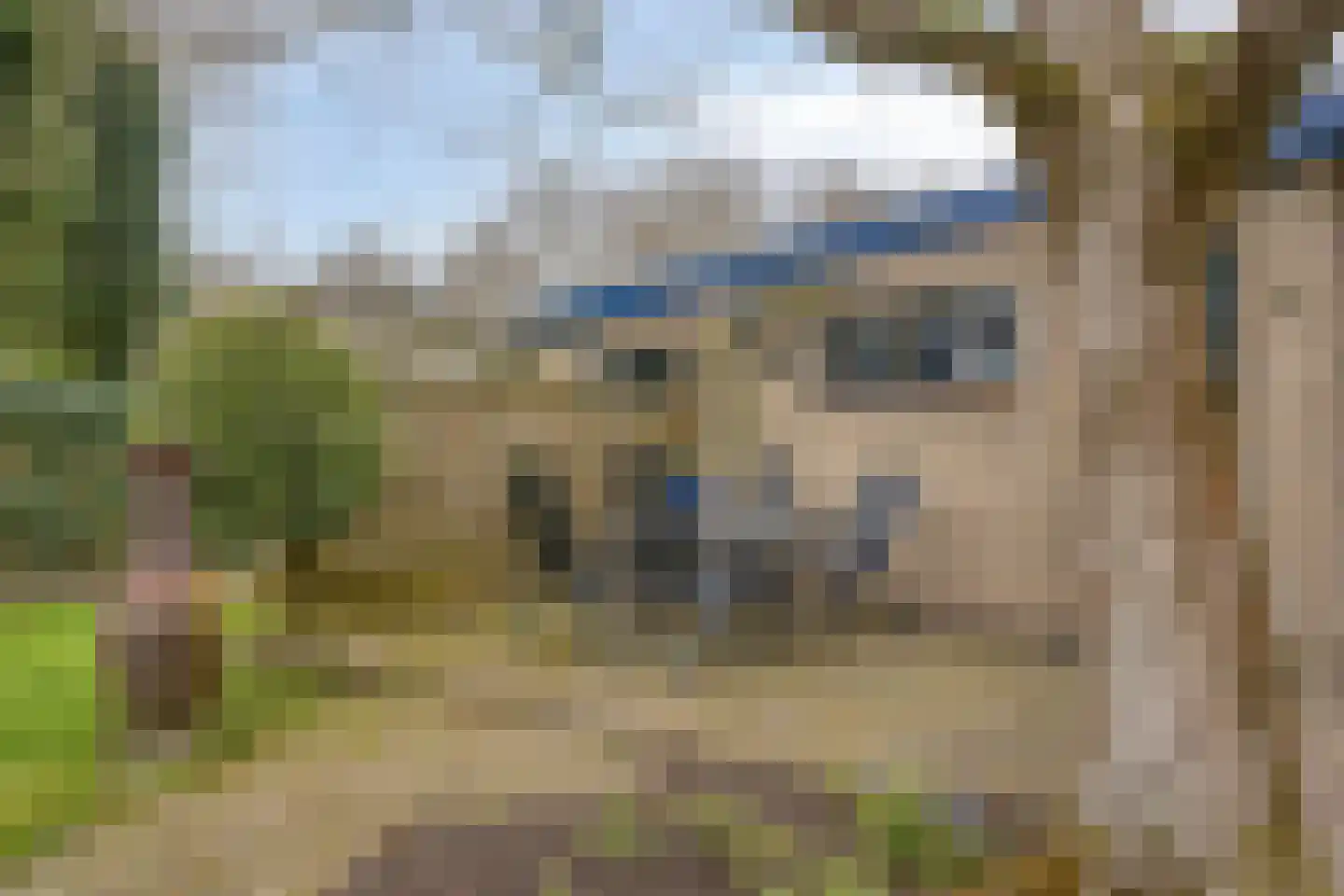Sandershof 6 Bemmel thumbnail 44