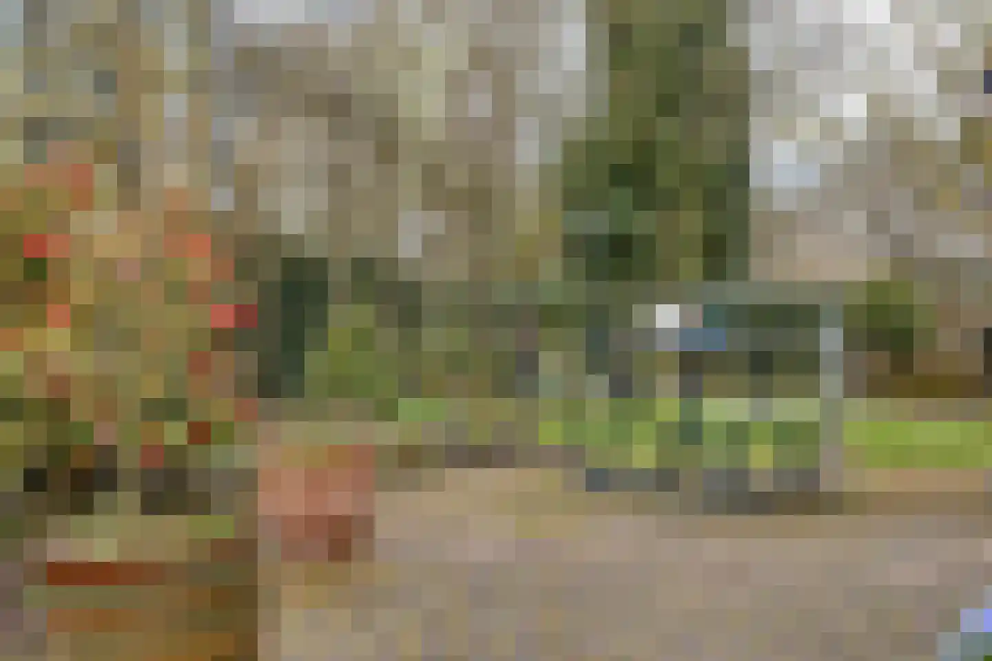 Sandershof 6 Bemmel thumbnail 50