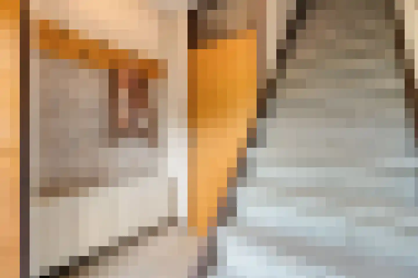 Sanderspad 2 Hattem thumbnail 20