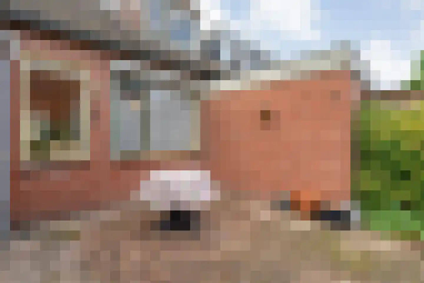 Sanderspad 2 Hattem thumbnail 34