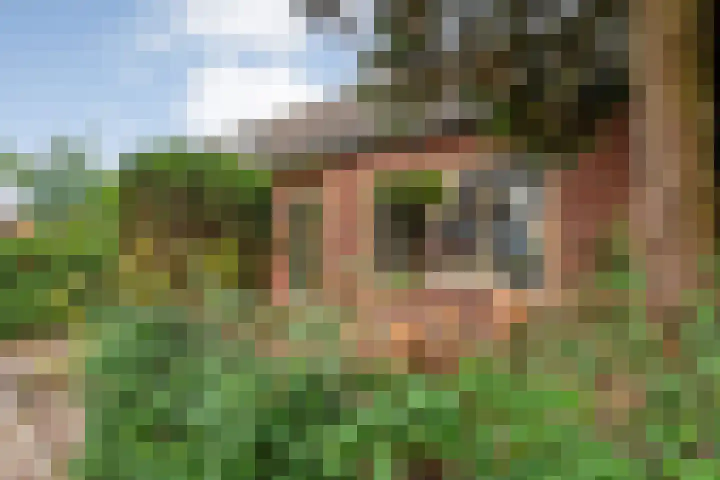 Sanderspad 2 Hattem thumbnail 36