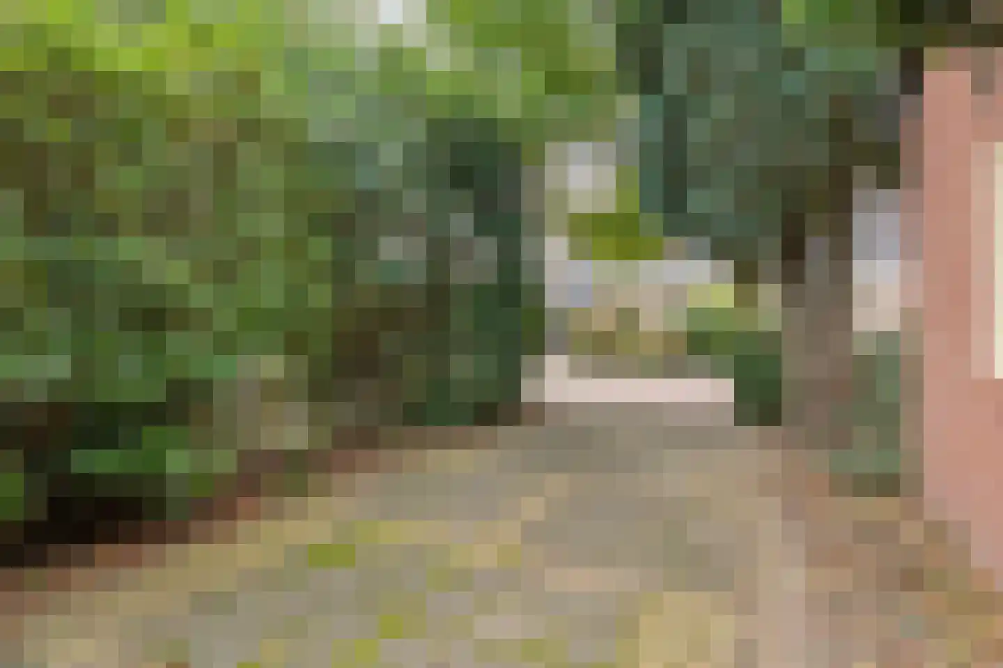 Sanderspad 2 Hattem thumbnail 38