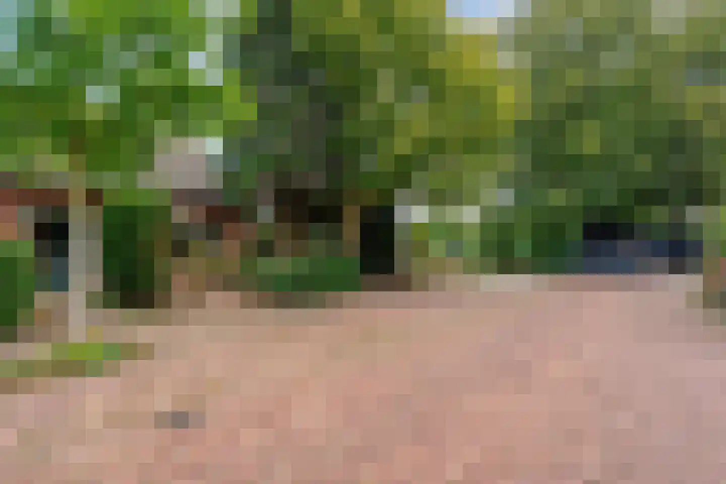 Sanderspad 2 Hattem thumbnail 39